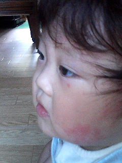 070904_1152.jpg
