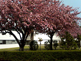080422_1346.jpg