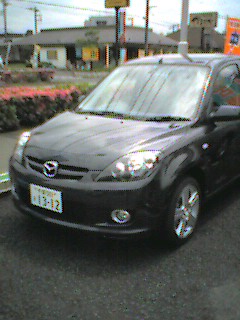 newdemiosport