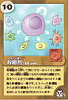 embryou2