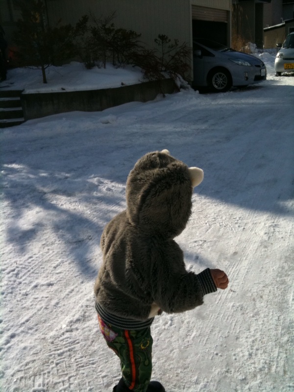 20100101.jpg