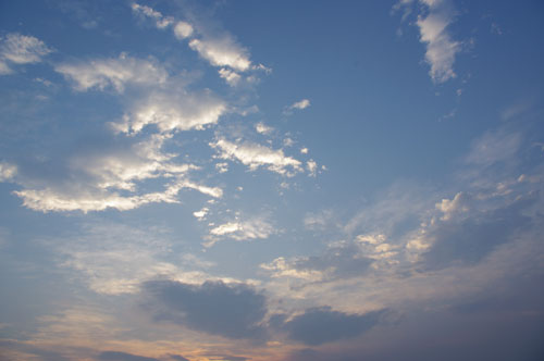 IMGP0815.JPG