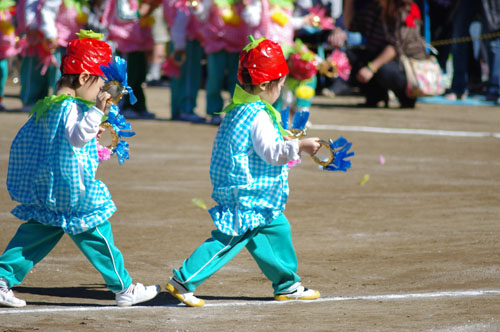 IMGP1811.jpg