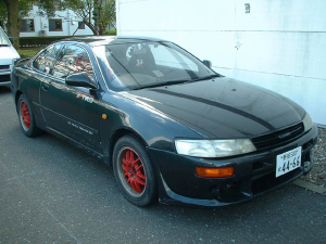 levin1