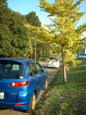 demio2